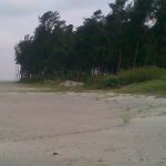 Water Harvesting in Coastal and Deltaic Regions