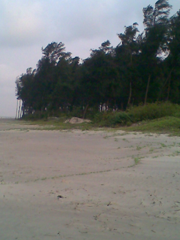 Water Harvesting in Coastal and Deltaic Regions