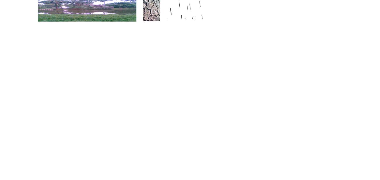 Agroclimatic data analysis for onset of agricultural drought in a coastal area