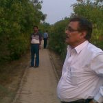 Fringe Areas in the Sunderbans