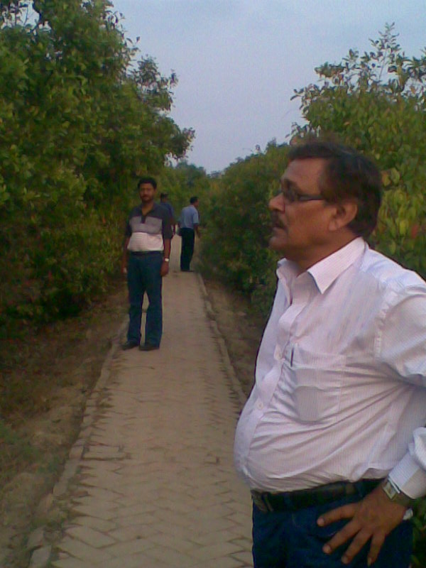 Fringe Areas in the Sunderbans