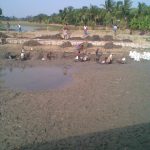Batteries of sedimentation ponds and channels